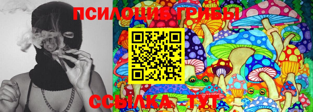 Галлюциногенные грибы MAGIC MUSHROOMS  Псилоцибиновые грибы Cubensis  Кинель  Вход с VPN 